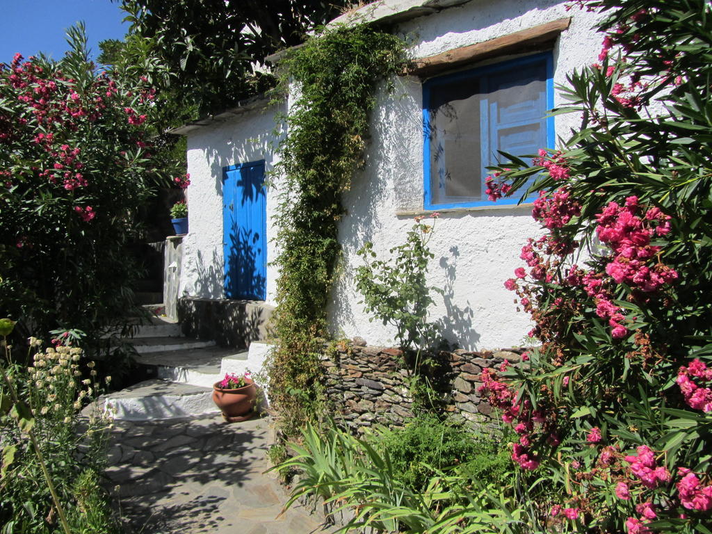 Sierra Y Mar Bed & Breakfast Ferreirola ห้อง รูปภาพ