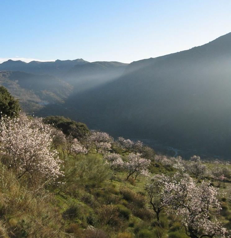 Sierra Y Mar Bed & Breakfast Ferreirola ภายนอก รูปภาพ