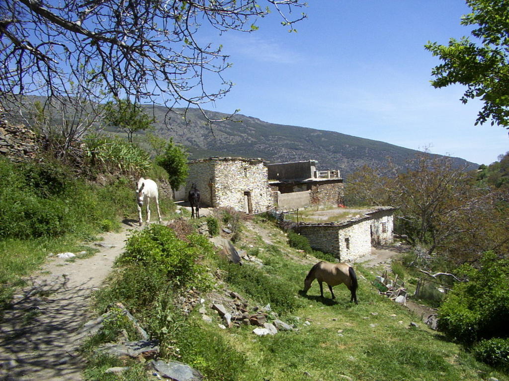 Sierra Y Mar Bed & Breakfast Ferreirola ภายนอก รูปภาพ